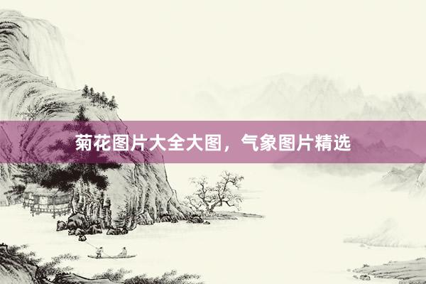 菊花图片大全大图，气象图片精选